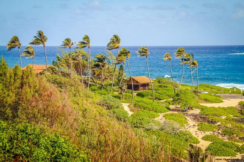 Aktivitäten auf O’ahu:10 authentische, lokale Erlebnisse auf Hawaii 