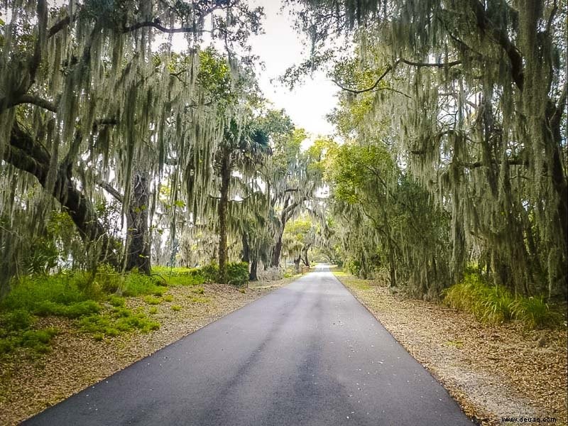 Die 14 besten versteckten Juwelen in Florida:Unterschätzte Strände, Parks und mehr 