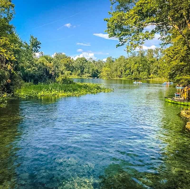 Die 14 besten versteckten Juwelen in Florida:Unterschätzte Strände, Parks und mehr 