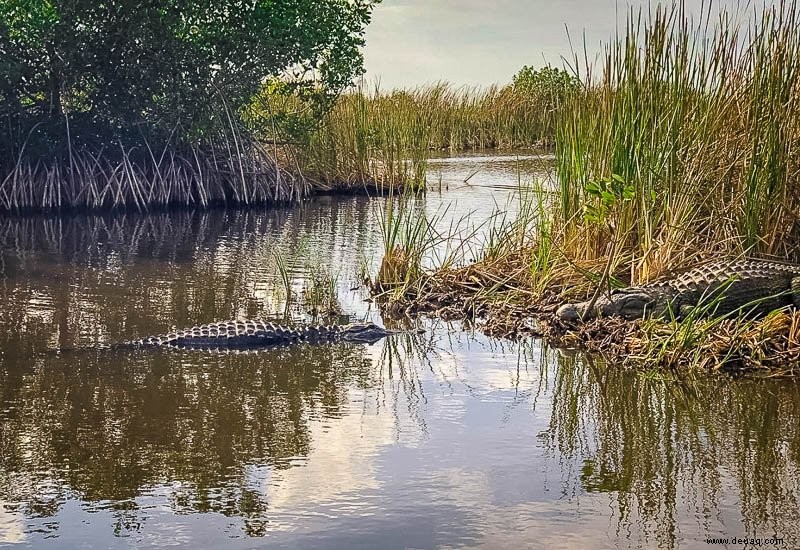 Die 14 besten versteckten Juwelen in Florida:Unterschätzte Strände, Parks und mehr 