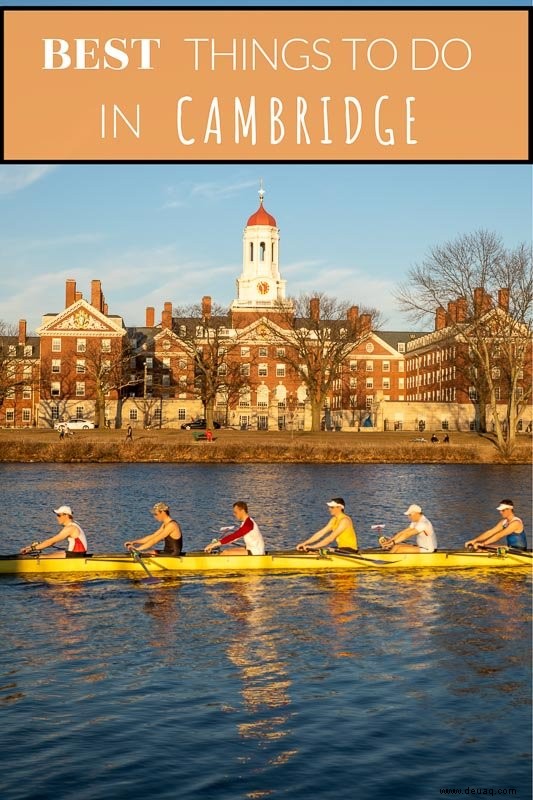 Die 14 besten Aktivitäten in Cambridge, Massachusetts 