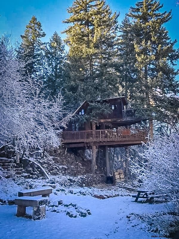 15 coolste Airbnbs in Colorado:Wunderschöne Baumhäuser, Hütten + Lodges 