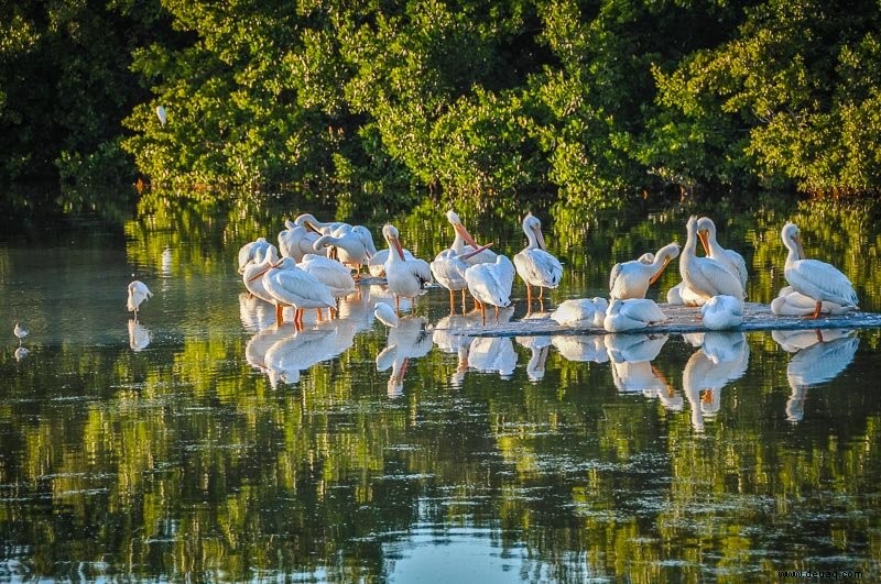 Die 8 besten Sehenswürdigkeiten in Südflorida:Strände, Städte, Parks und mehr 