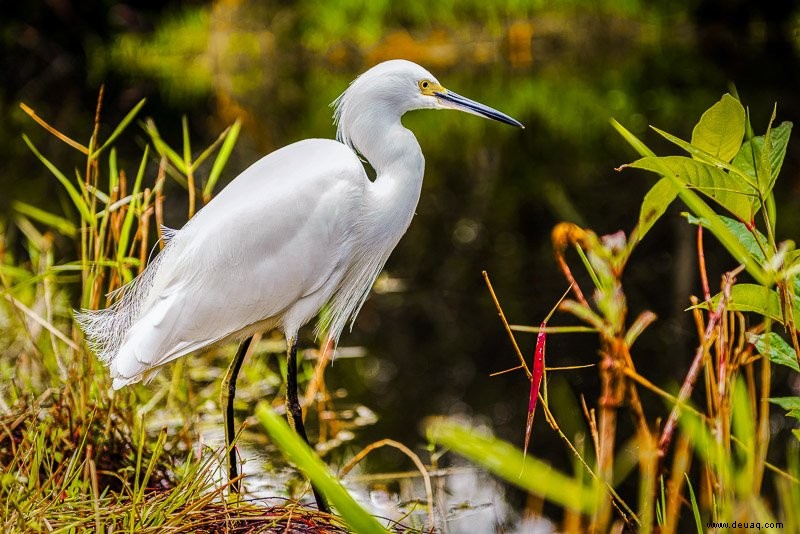 Die 8 besten Sehenswürdigkeiten in Südflorida:Strände, Städte, Parks und mehr 