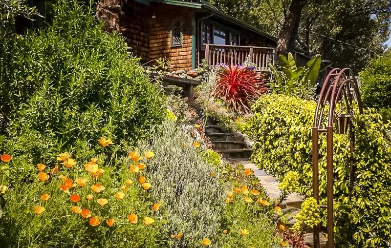 Die 9 besten Airbnbs in der Nähe von Muir Woods:Mill Valley, Sausalito + mehr 