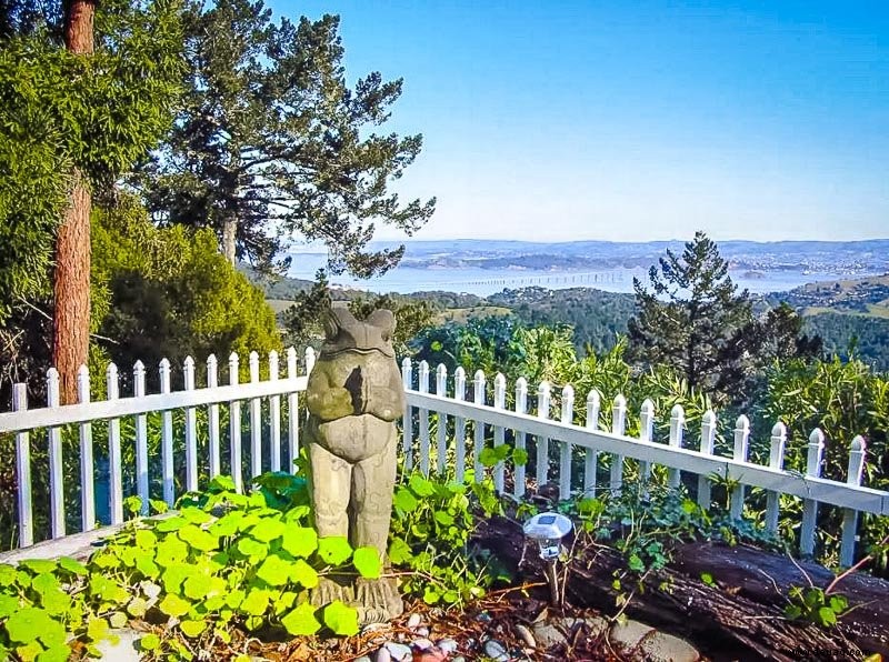 Die 9 besten Airbnbs in der Nähe von Muir Woods:Mill Valley, Sausalito + mehr 