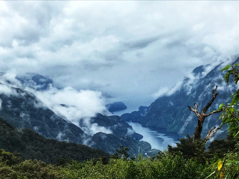 Rückblick:Magical Doubtful Sound Overnight Cruise von Real Journeys 