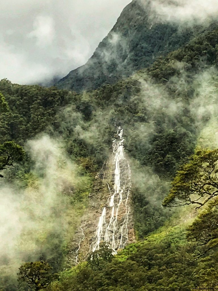 Rückblick:Magical Doubtful Sound Overnight Cruise von Real Journeys 