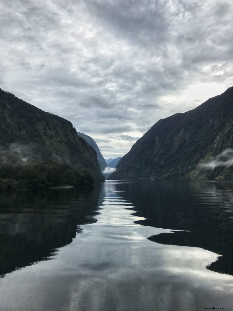 Rückblick:Magical Doubtful Sound Overnight Cruise von Real Journeys 