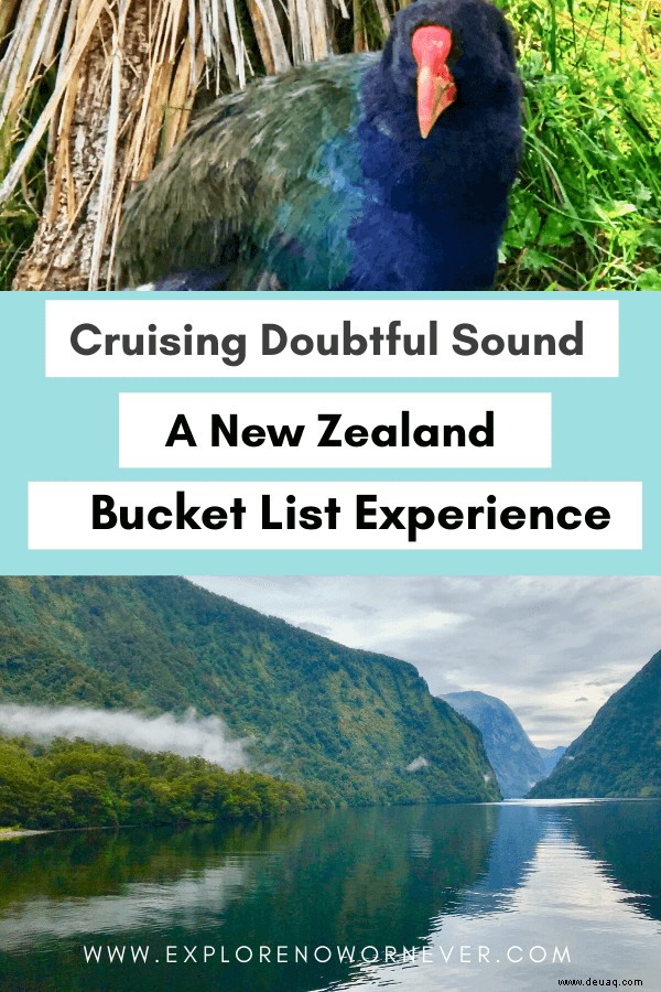Rückblick:Magical Doubtful Sound Overnight Cruise von Real Journeys 