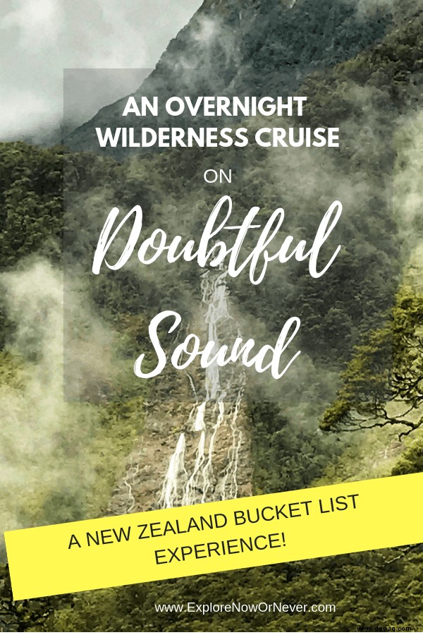 Rückblick:Magical Doubtful Sound Overnight Cruise von Real Journeys 