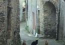 Riomaggiore oder Büste! 
