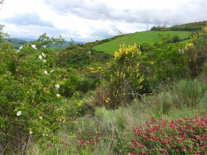 Ein magischer Tag im Val d’Orcia 