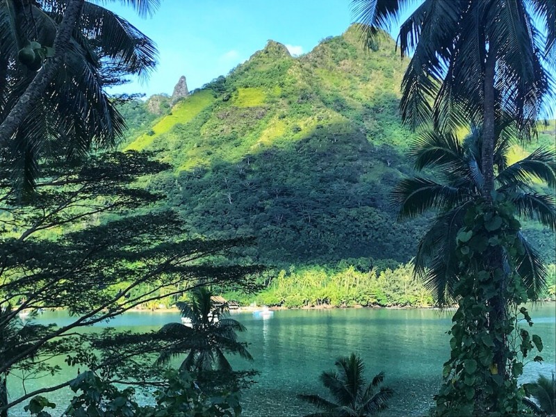 Island Vibes:17 EPISCHE Aktivitäten in Moorea 