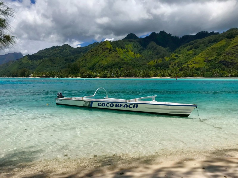 Island Vibes:17 EPISCHE Aktivitäten in Moorea 