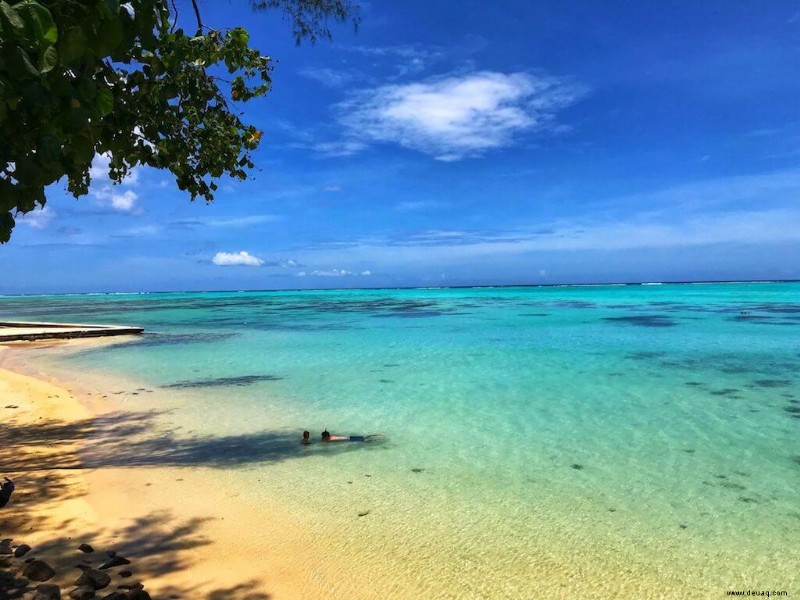 Island Vibes:17 EPISCHE Aktivitäten in Moorea 