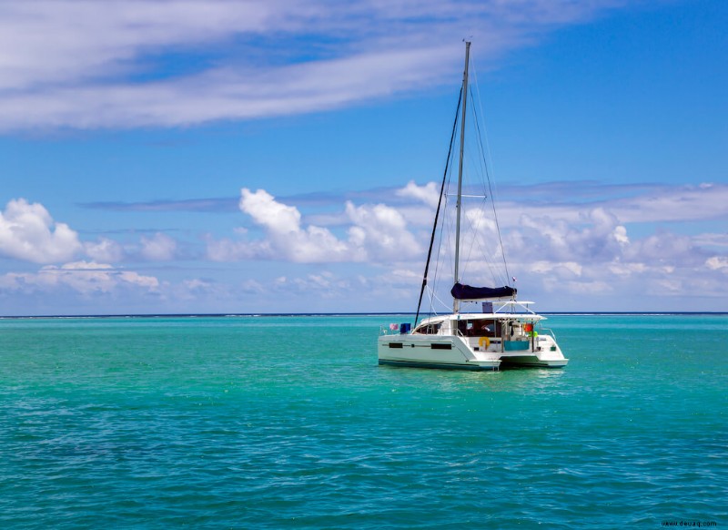 Island Vibes:17 EPISCHE Aktivitäten in Moorea 