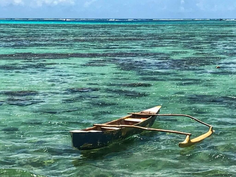 Island Vibes:17 EPISCHE Aktivitäten in Moorea 