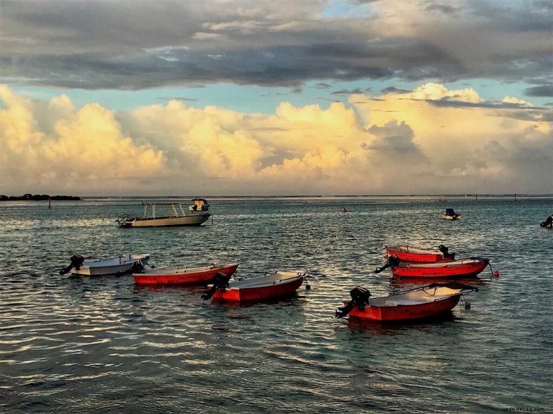 Island Vibes:17 EPISCHE Aktivitäten in Moorea 