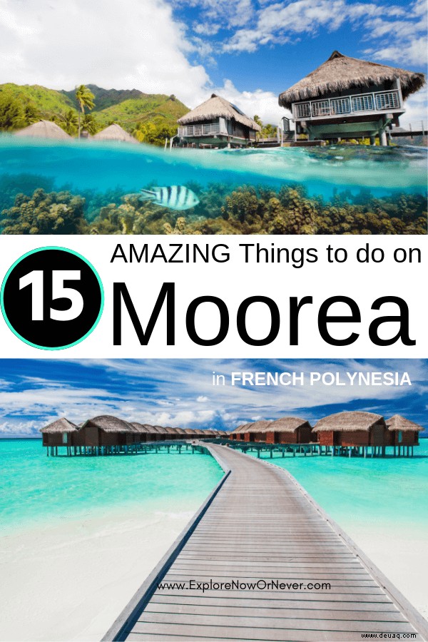 Island Vibes:17 EPISCHE Aktivitäten in Moorea 