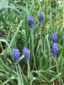 Schönes Bregenz:Bodensee radeln und Pfänder wandern 