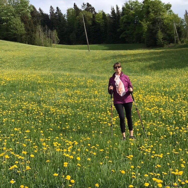 Schönes Bregenz:Bodensee radeln und Pfänder wandern 