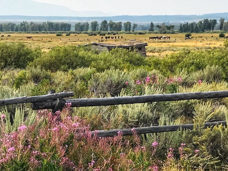 14 erstaunliche Aktivitäten im Grand-Teton-Nationalpark (2022) 