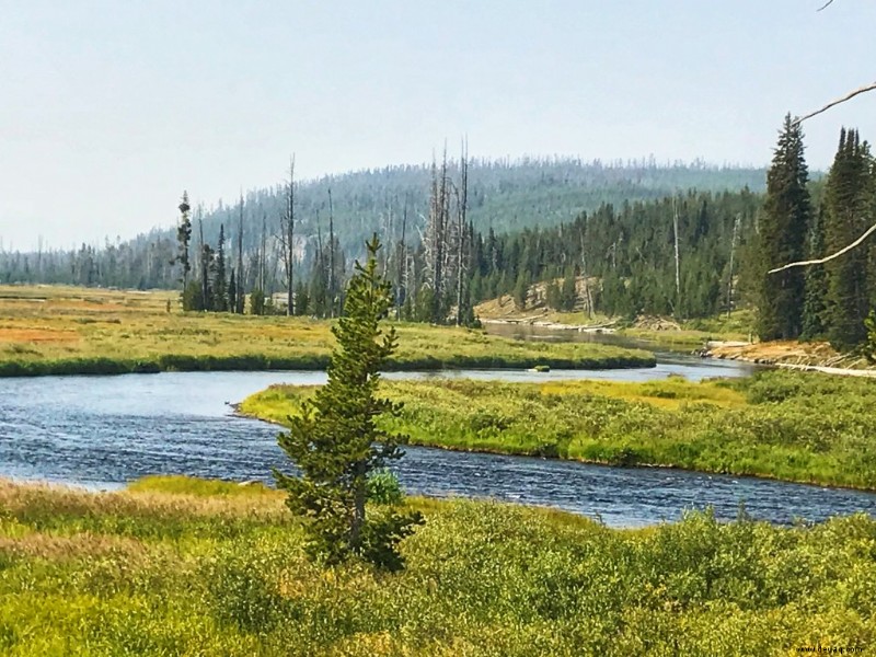 14 erstaunliche Aktivitäten im Grand-Teton-Nationalpark (2022) 