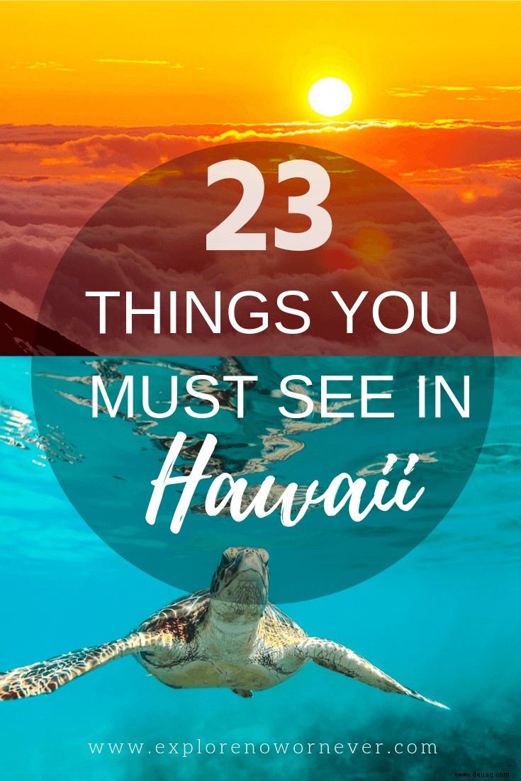 Die ULTIMATE 2022 Hawaii Bucket List:23 erstaunliche Dinge zu tun! 