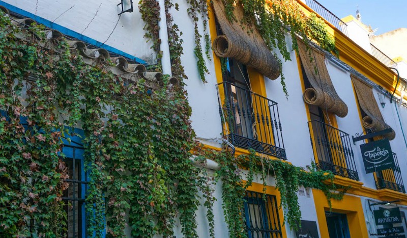 2 Wochen in Spanien:Eine Reiseroute durch das schöne Andalusien 