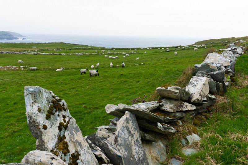 Die perfekte 10-tägige Irland-Reiseroute:Wie man die Emerald Isle mit dem Auto bereist 