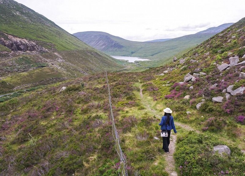 35 schönsten Orte in Irland:Sehen Sie die Grüne Insel 