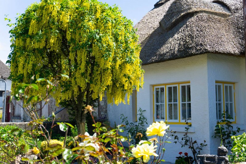 35 schönsten Orte in Irland:Sehen Sie die Grüne Insel 