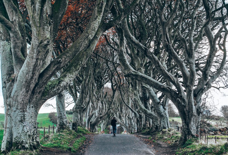 35 schönsten Orte in Irland:Sehen Sie die Grüne Insel 