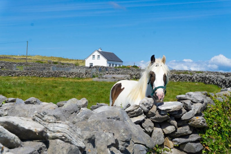 35 schönsten Orte in Irland:Sehen Sie die Grüne Insel 