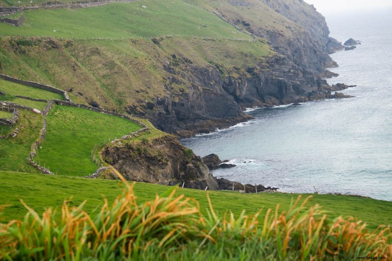 14 unglaubliche Aktivitäten in Dingle 