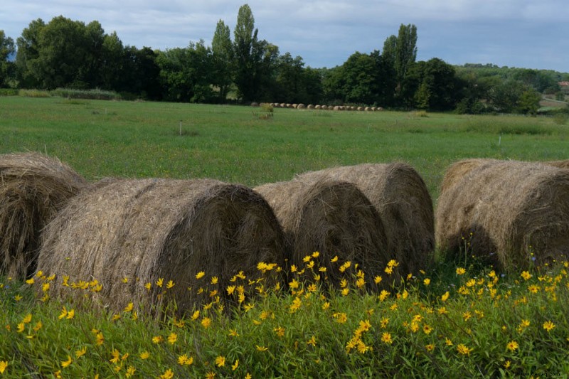 15 besten Städte in der Provence, Frankreich:Charmante Dörfer, die man gesehen haben muss (2022) 