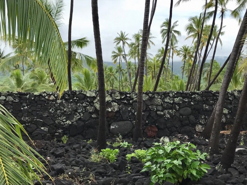 Eigentumswohnungen und Airbnb Kona, Hawaii:13 wunderschöne Ferienwohnungen auf Big Island 