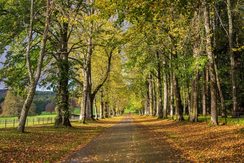 12 unglaubliche Aktivitäten in Perthshire 