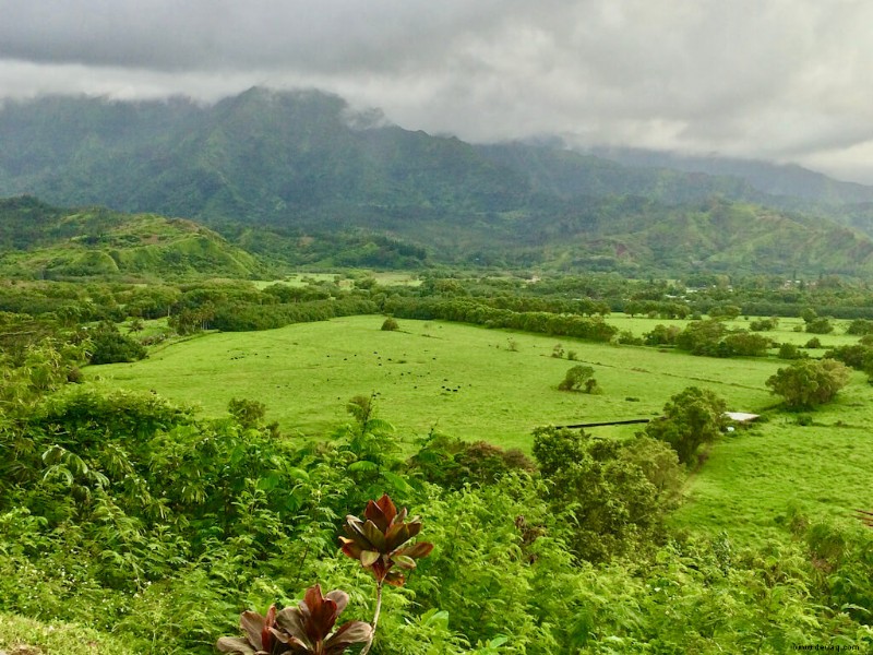 Die beste Insel zum Besuchen in Hawaii (2022):Wie man sich entscheidet 