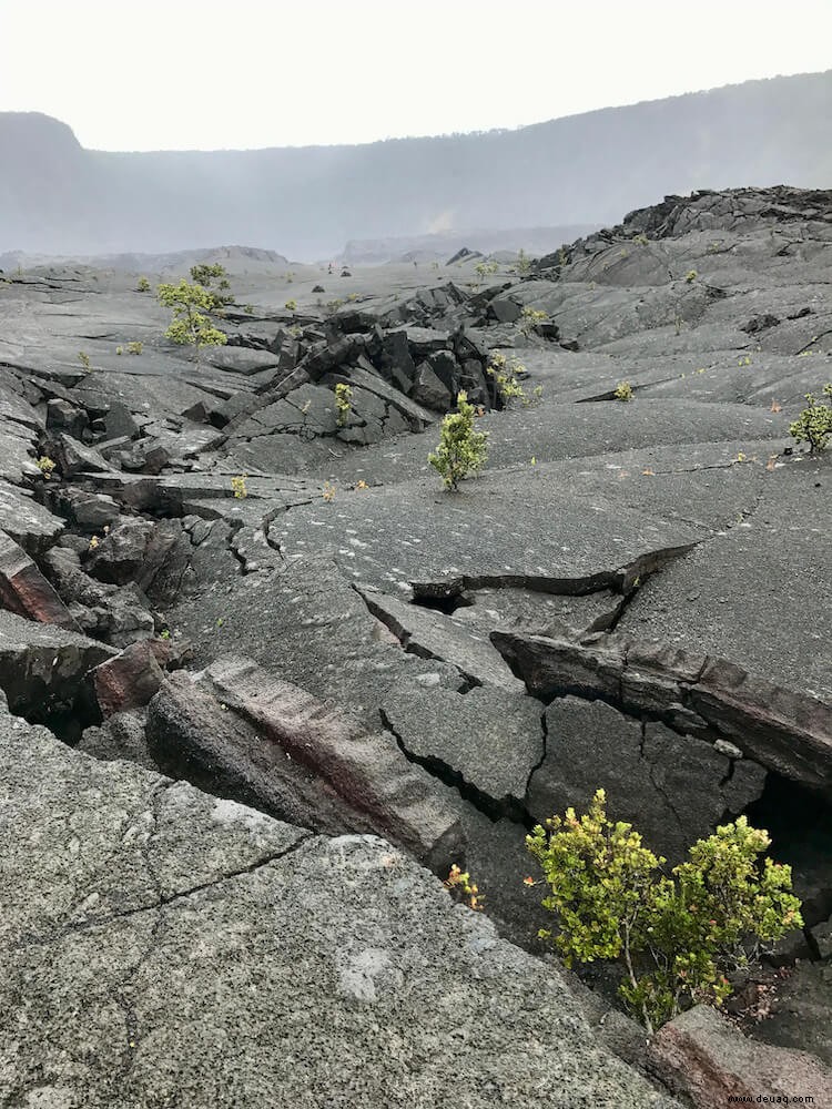 Die beste Insel zum Besuchen in Hawaii (2022):Wie man sich entscheidet 