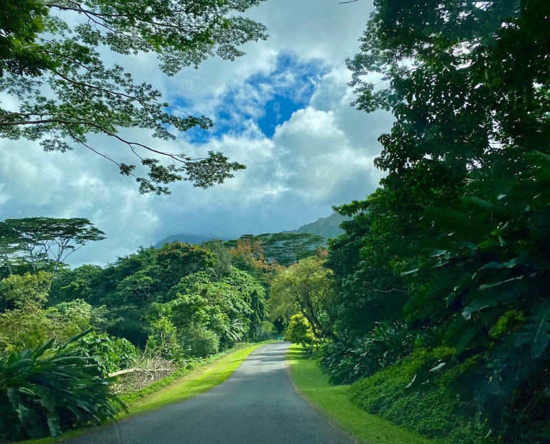 Die beste Insel zum Besuchen in Hawaii (2022):Wie man sich entscheidet 