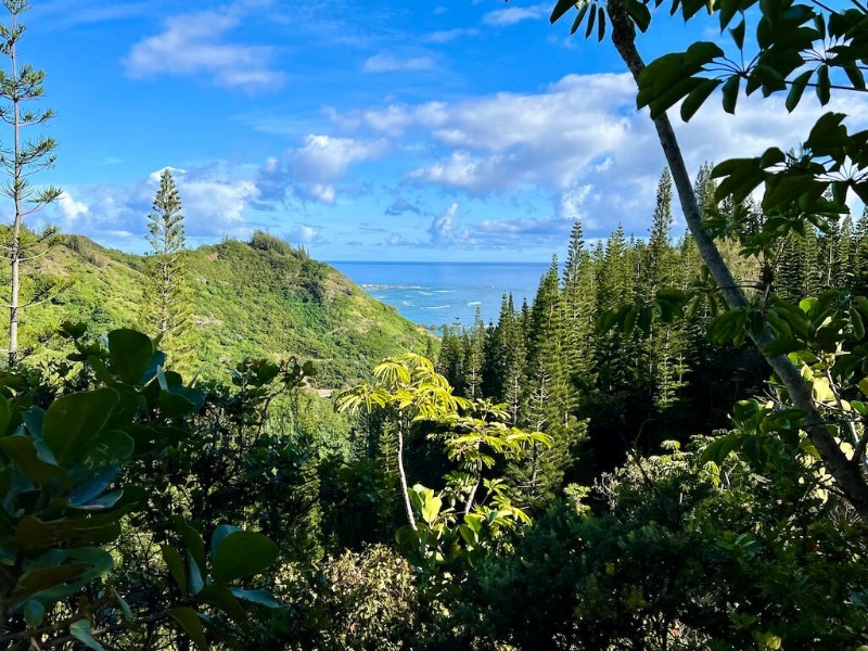 Die ultimative Oahu-Route:Wie man 3, 5 oder 7 Tage verbringt 