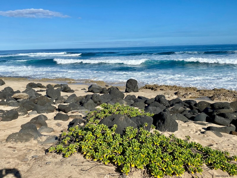 Die ultimative Oahu-Route:Wie man 3, 5 oder 7 Tage verbringt 