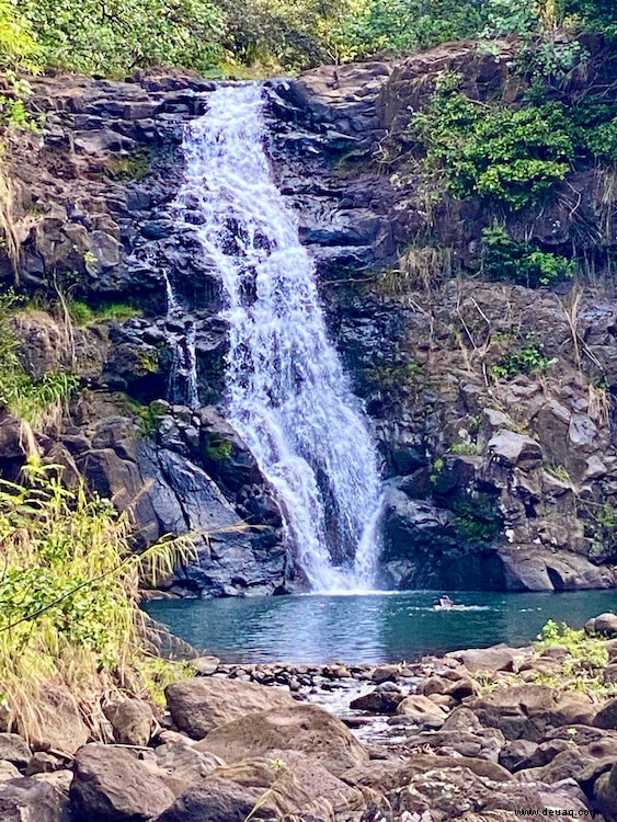 11 Best Oahu Hikes (2022):Wie man das Beste der Insel sieht 