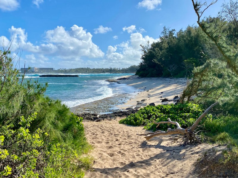 11 Best Oahu Hikes (2022):Wie man das Beste der Insel sieht 