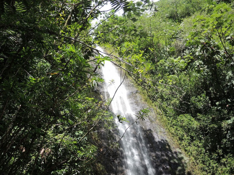 11 Best Oahu Hikes (2022):Wie man das Beste der Insel sieht 