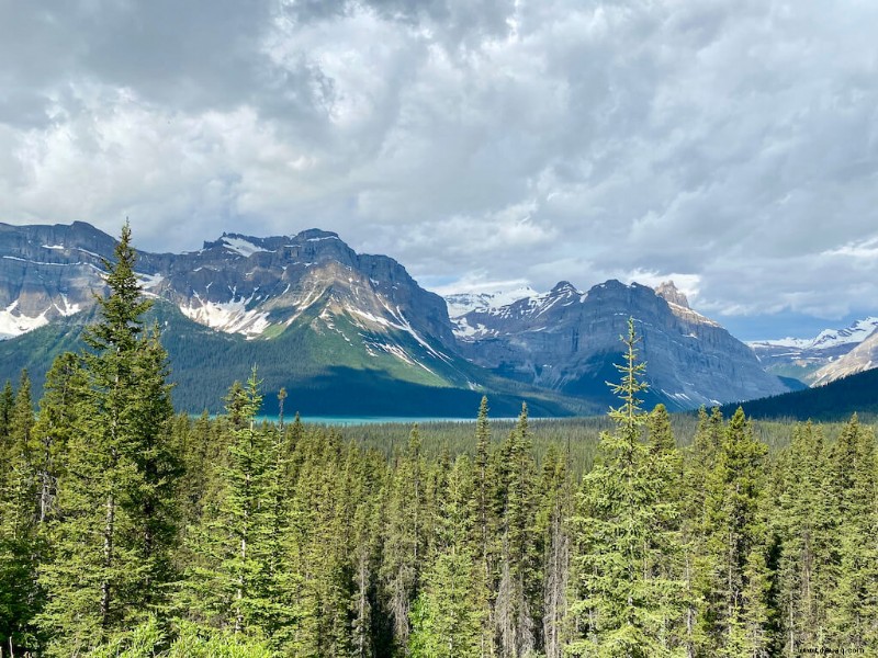 23 Haltestellen auf Kanadas Icefields Parkway, die Sie nicht verpassen sollten! 