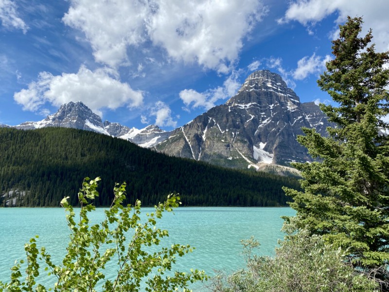 23 Haltestellen auf Kanadas Icefields Parkway, die Sie nicht verpassen sollten! 