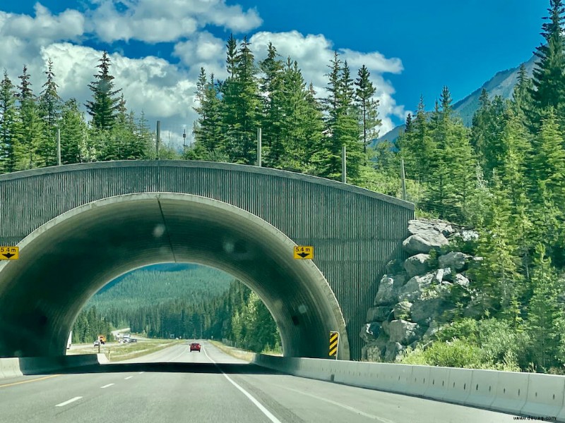 23 Haltestellen auf Kanadas Icefields Parkway, die Sie nicht verpassen sollten! 